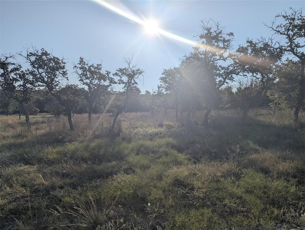 10.01 acres in Hamilton County - photo 6