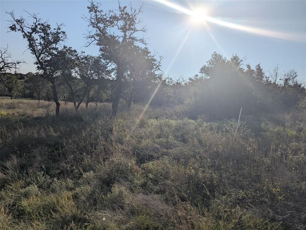 10.01 acres in Hamilton County - photo 3