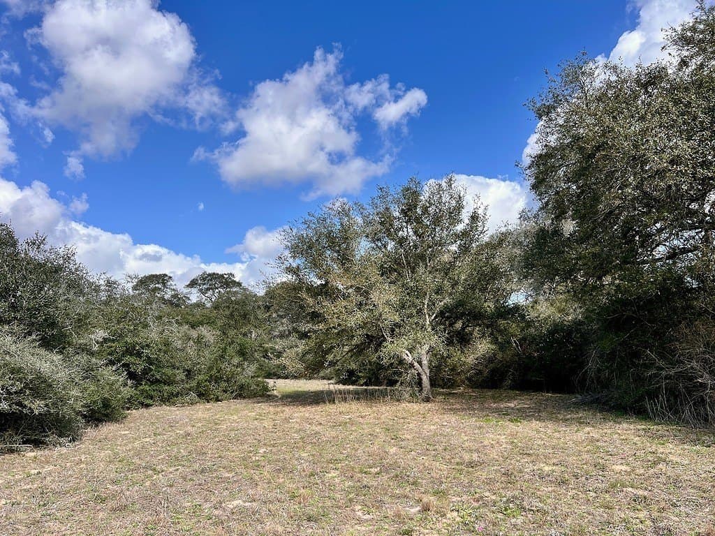 11 acres in Colorado County - photo 2