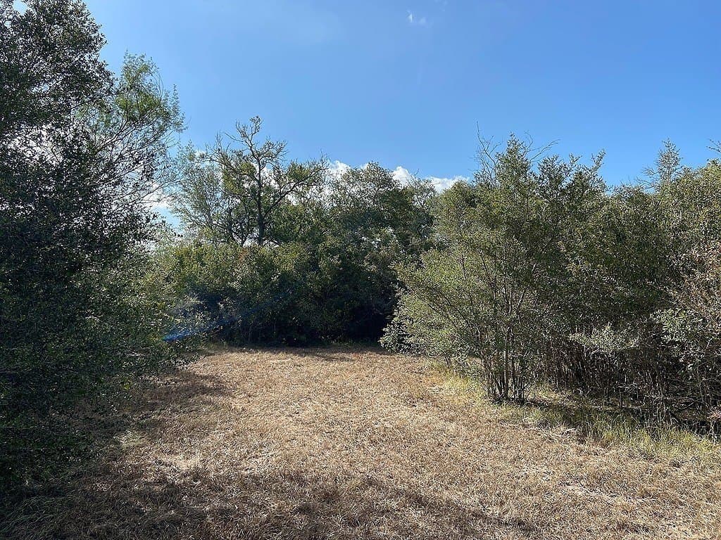 11 acres in Colorado County - photo 8