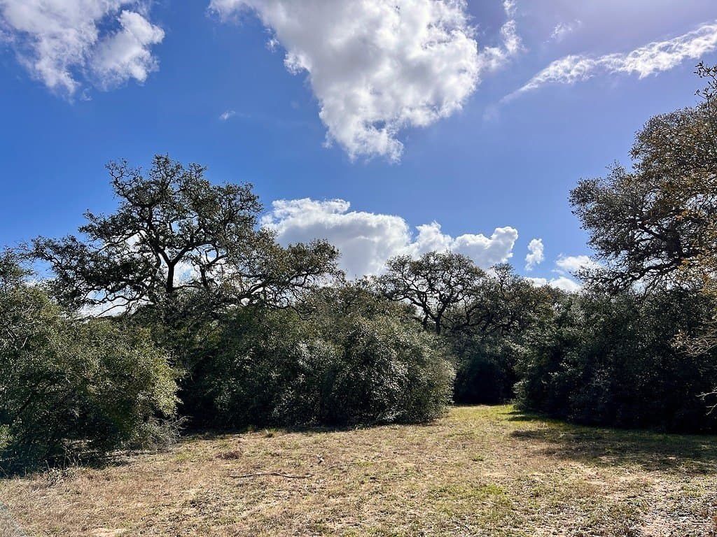 11 acres in Colorado County - photo 3