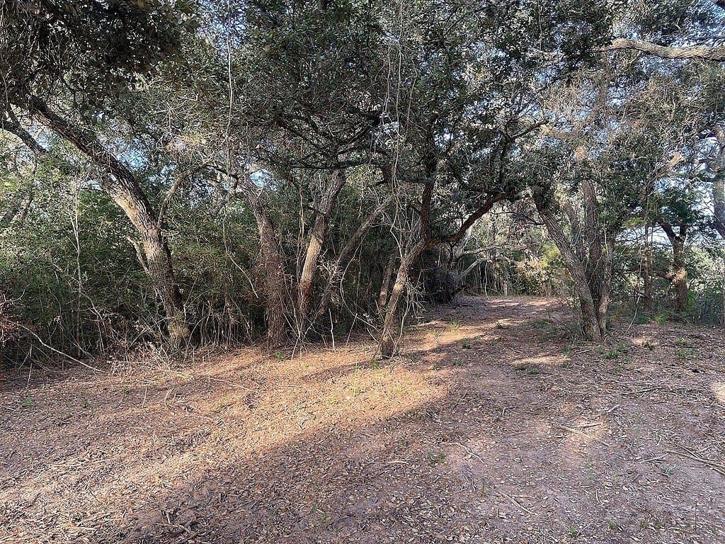 11 acres in Colorado County - photo 14