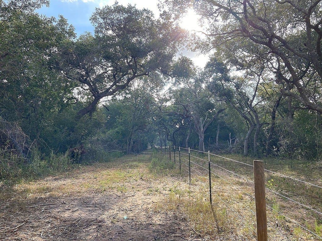 11 acres in Colorado County - photo 5