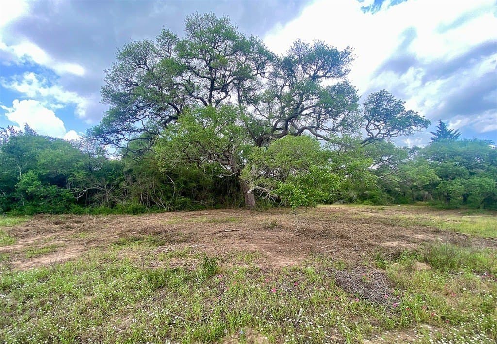 11 acres in Colorado County - photo 7