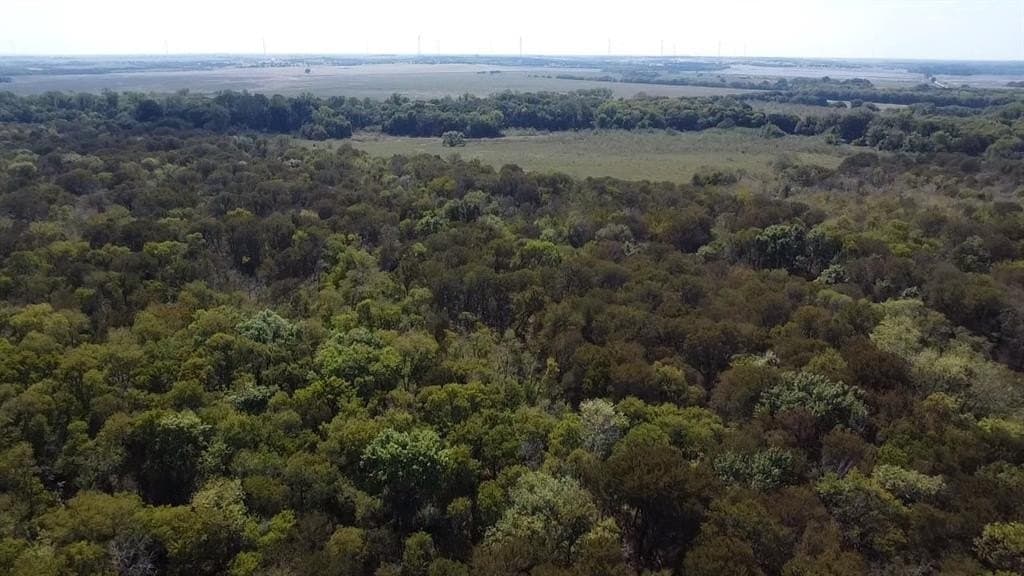 1,220 acres in Navarro County - photo 17