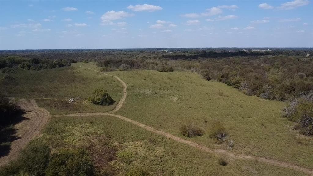 1,220 acres in Navarro County - photo 16