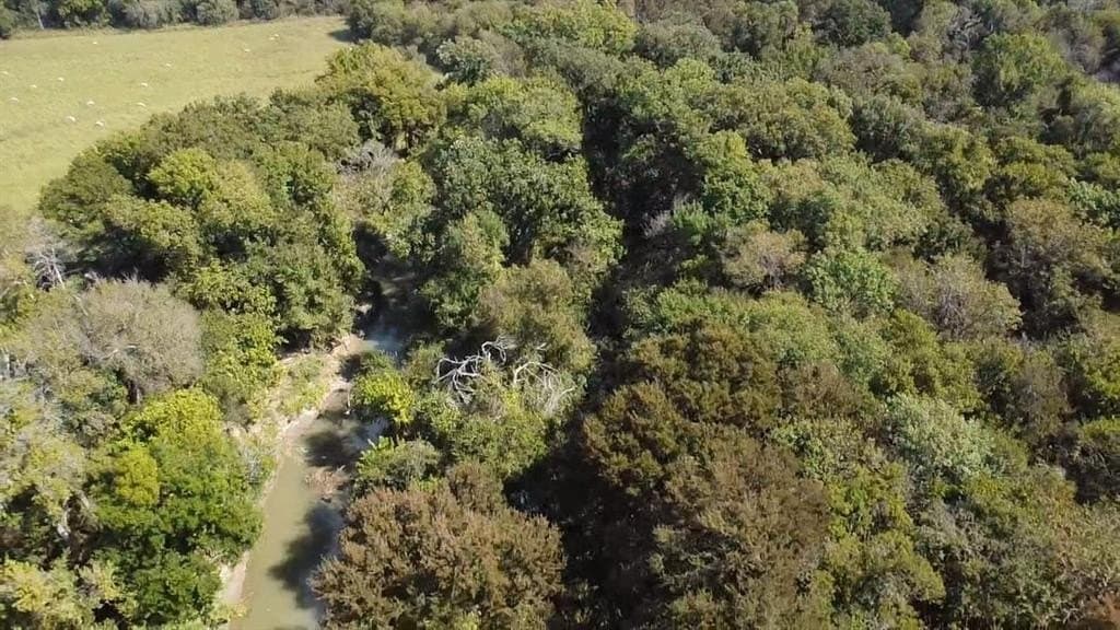 1,220 acres in Navarro County - photo 3