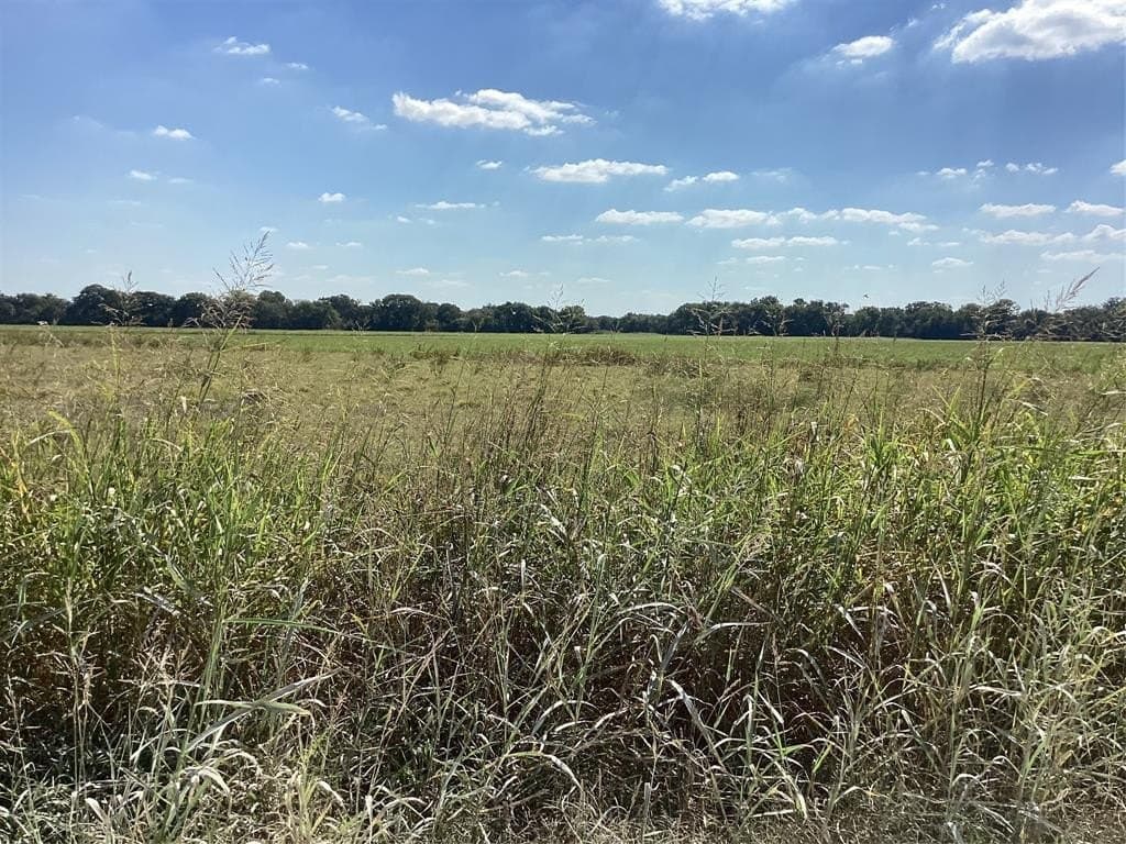 1,220 acres in Navarro County - photo 8