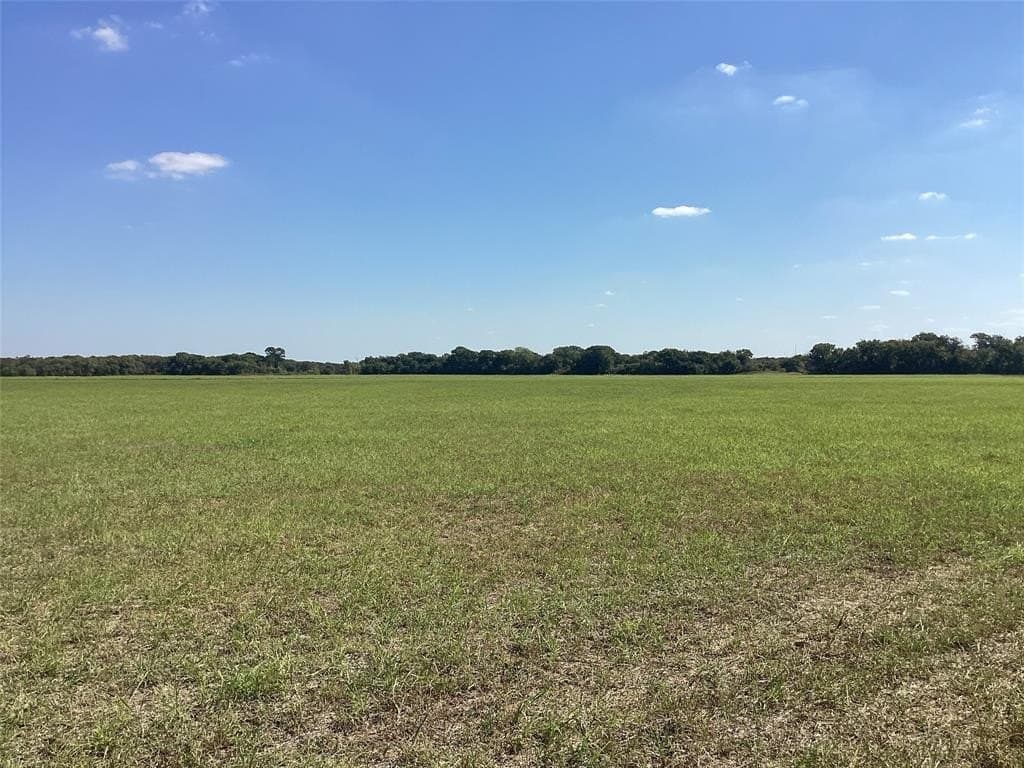 1,220 acres in Navarro County - photo 6