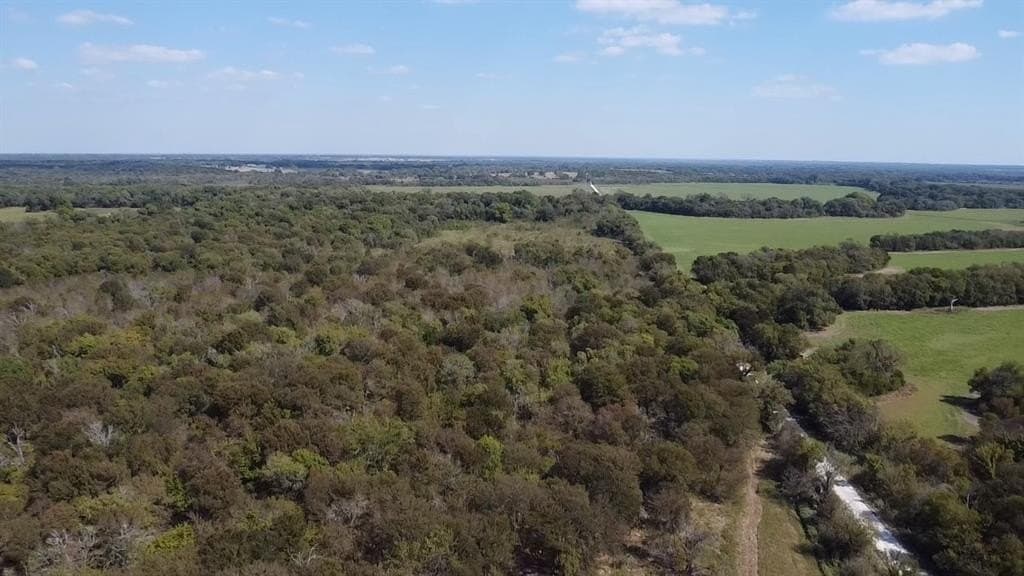 1,220 acres in Navarro County - photo 18