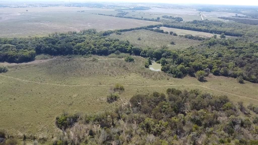1,220 acres in Navarro County - photo 4