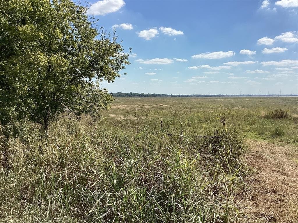 1,220 acres in Navarro County - photo 2
