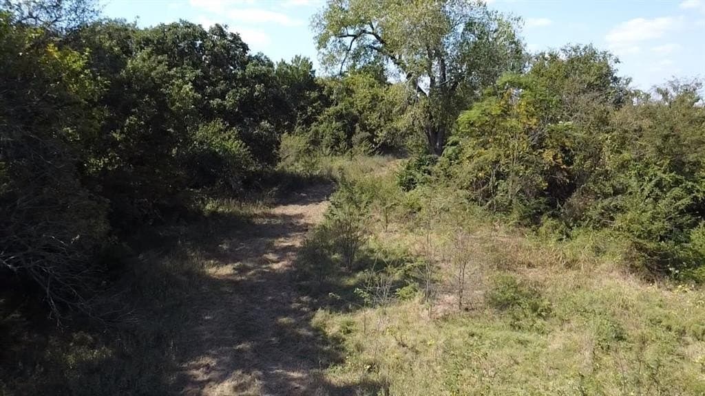 1,220 acres in Navarro County - photo 31