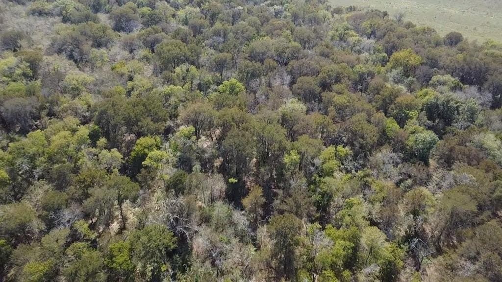 1,220 acres in Navarro County - photo 21