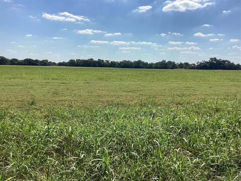 1,220 acres in Navarro County - photo 7