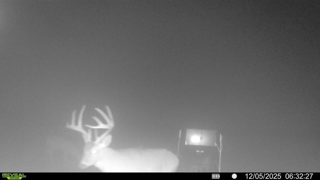 1,220 acres in Navarro County - photo 38