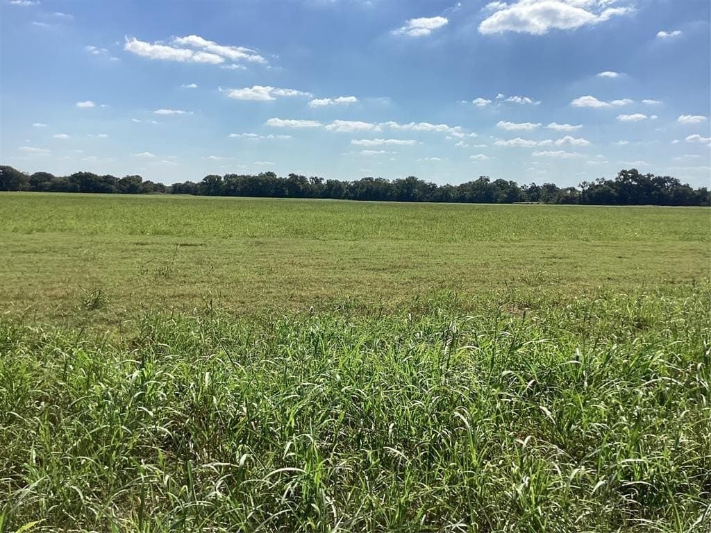 1,220 acres in Navarro County - photo 32