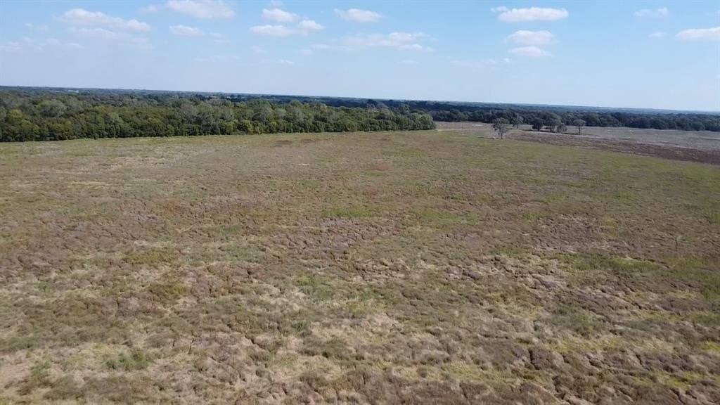 1,220 acres in Navarro County - photo 9