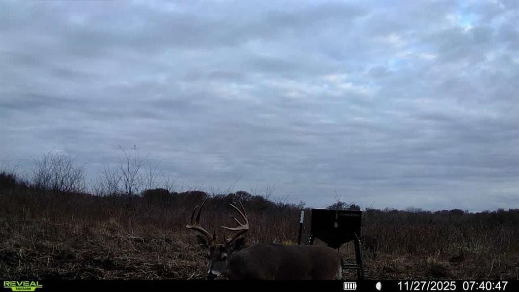 1,220 acres in Navarro County - photo 37