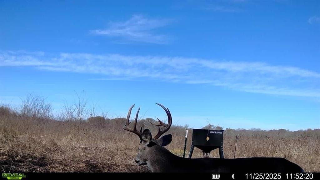 1,220 acres in Navarro County - photo 35