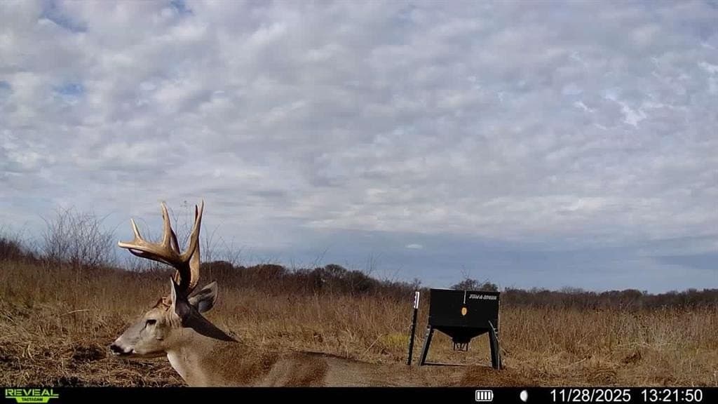 1,220 acres in Navarro County - photo 36