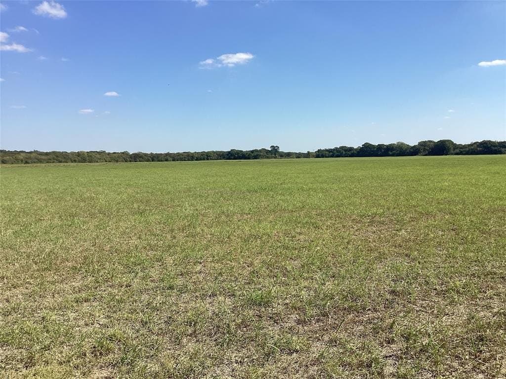 1,220 acres in Navarro County - photo 33
