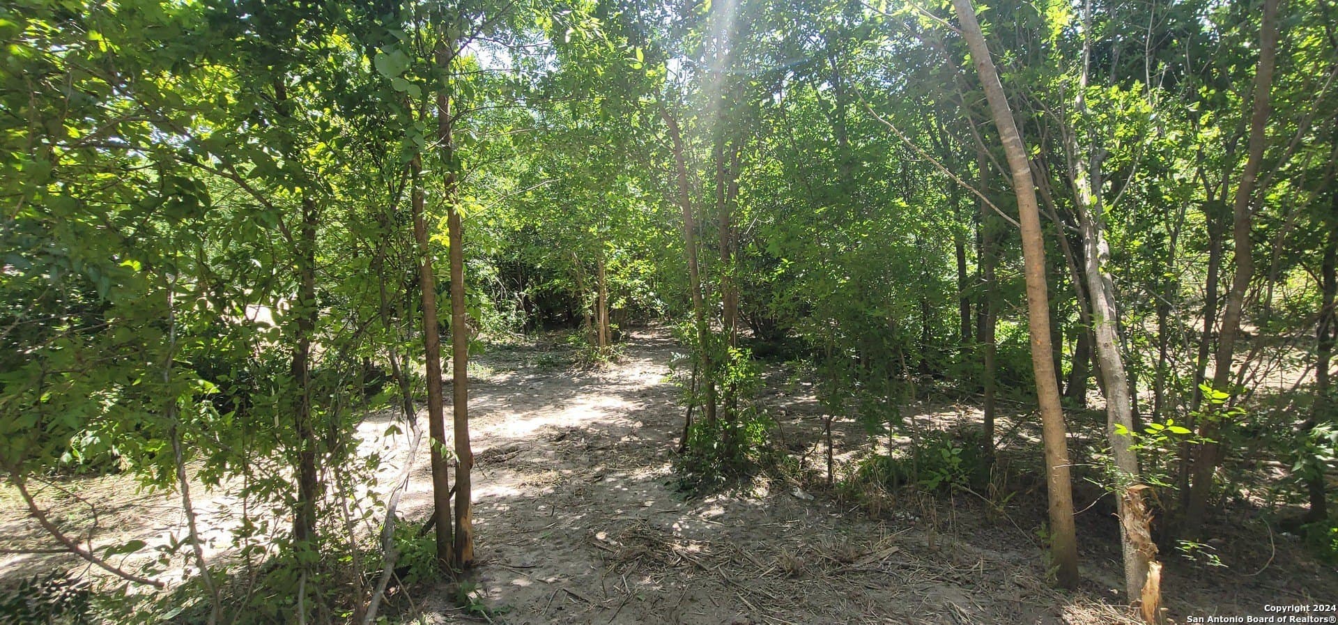 1.13 acres in Bexar County - photo 2