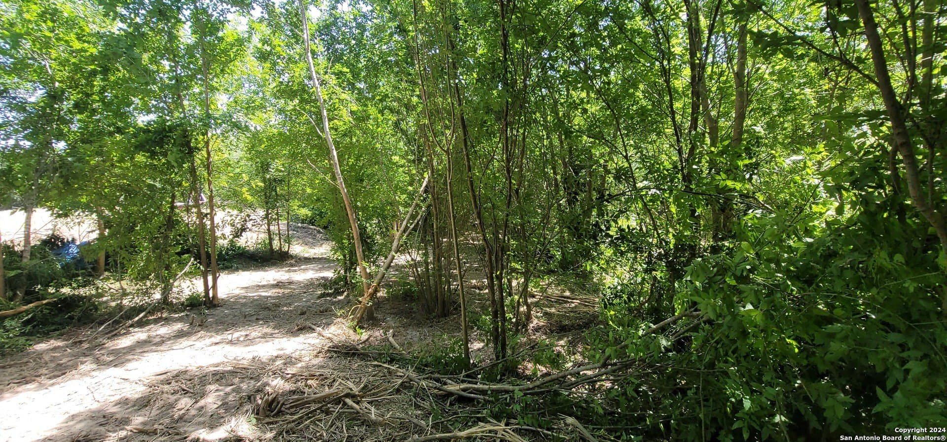 1.13 acres in Bexar County - photo 3