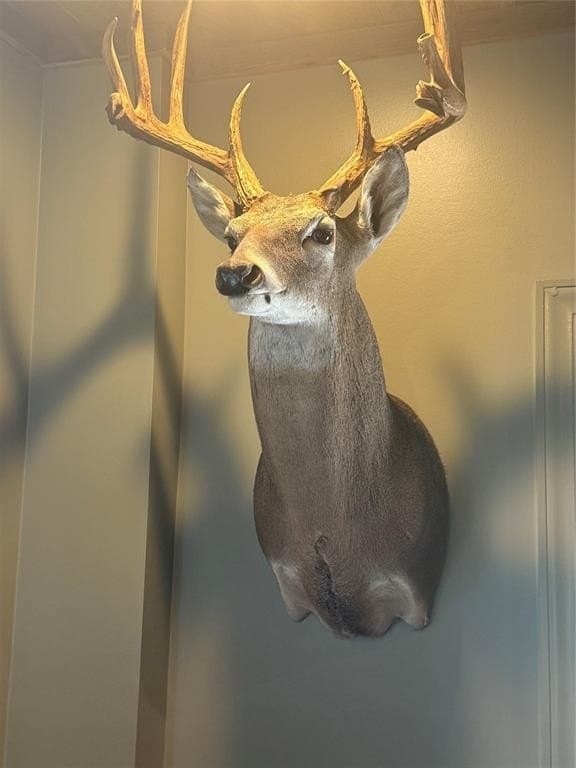 88.45 acres in Bosque County - photo 22