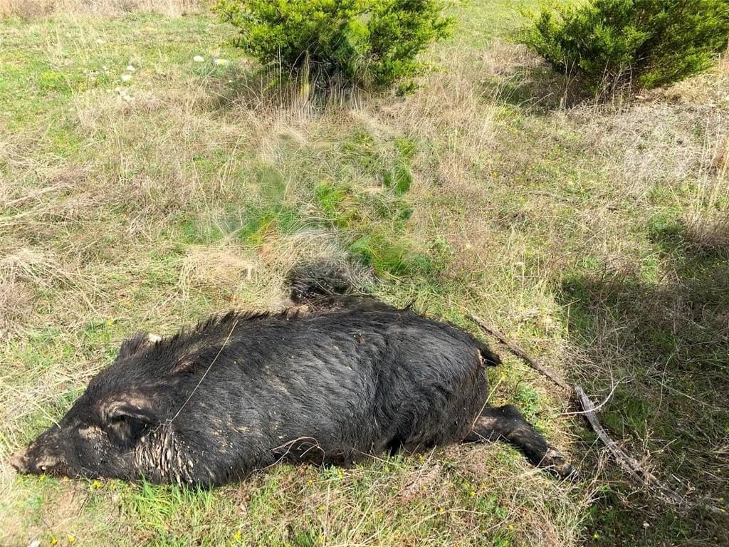 88.45 acres in Bosque County - photo 25