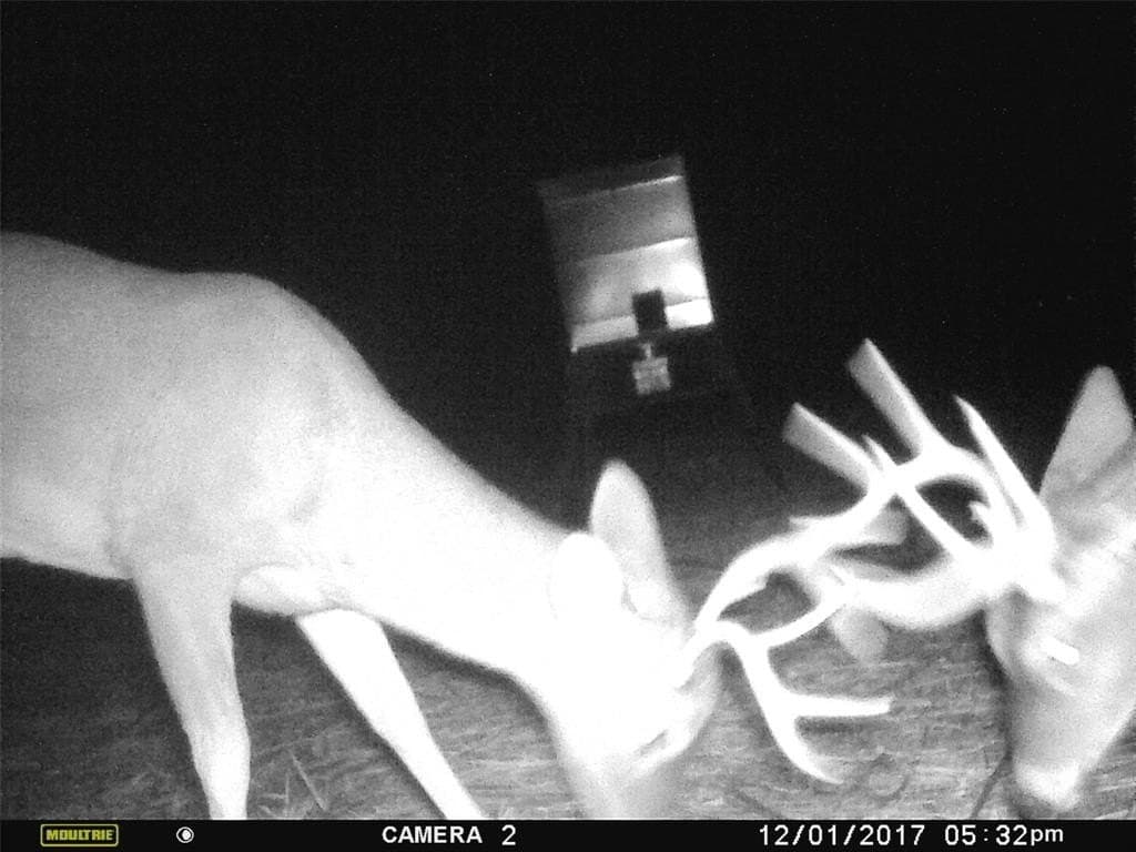 88.45 acres in Bosque County - photo 29