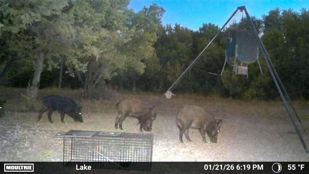 88.45 acres in Bosque County - photo 12
