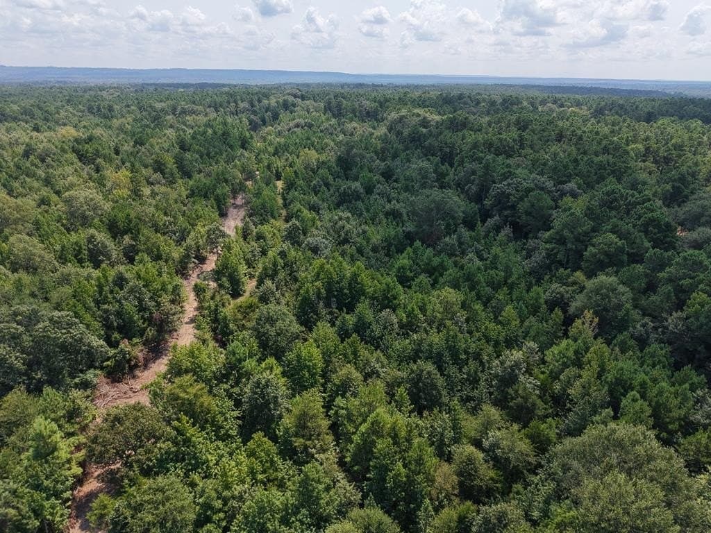 12 acres in ANDERSON County - photo 22