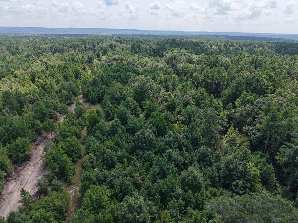 12 acres in ANDERSON County - photo 25