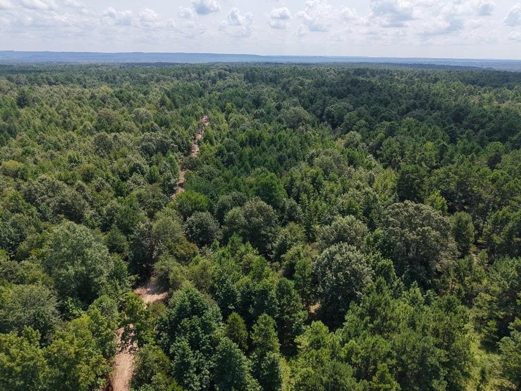 12 acres in ANDERSON County - photo 12