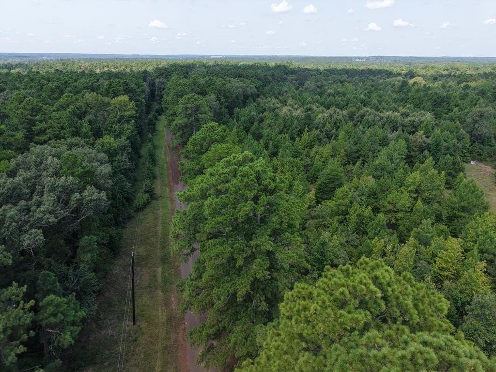 12 acres in ANDERSON County - photo 16