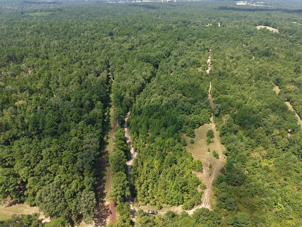 12 acres in ANDERSON County - photo 18