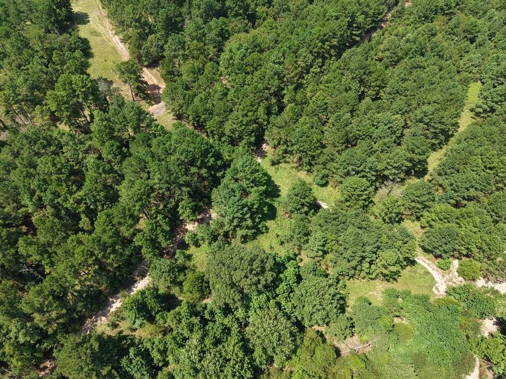 12 acres in ANDERSON County - photo 11