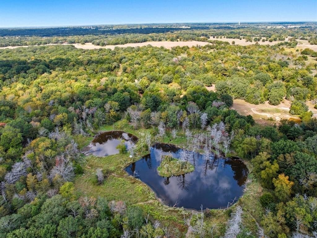 68.76 acres in Kaufman County - photo 2
