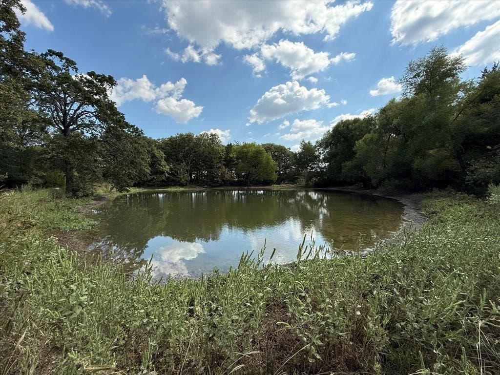 68.76 acres in Kaufman County - photo 12