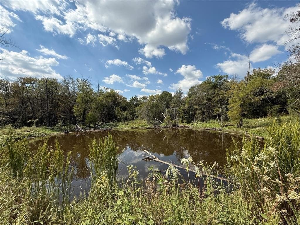 68.76 acres in Kaufman County - photo 11