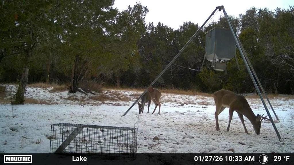 77.21 acres in Bosque County - photo 28