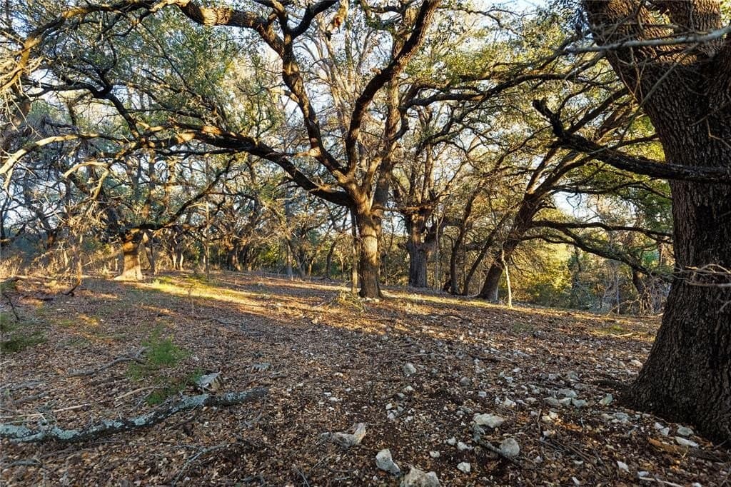 77.21 acres in Bosque County - photo 30