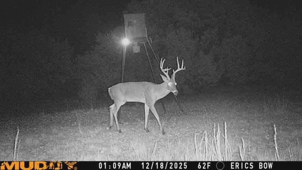 77.21 acres in Bosque County - photo 17