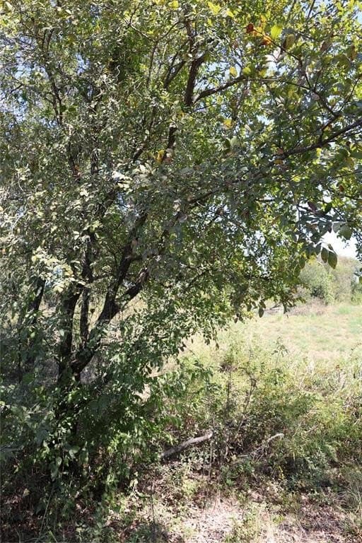 5 acres in Fannin County - photo 4