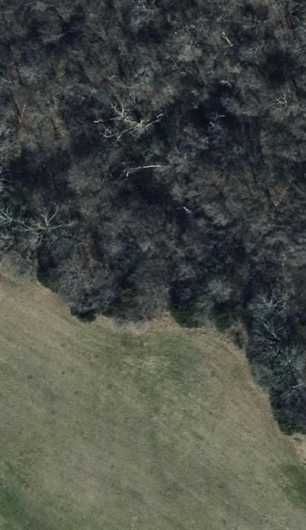 5 acres in Fannin County - photo 2