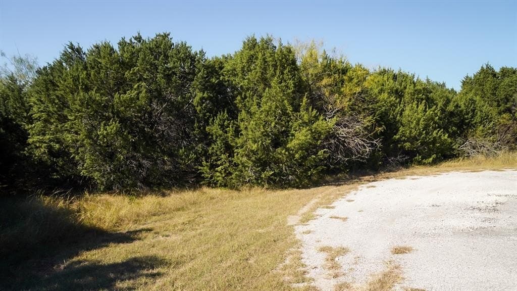 0.34 acres in Hill County - photo 2