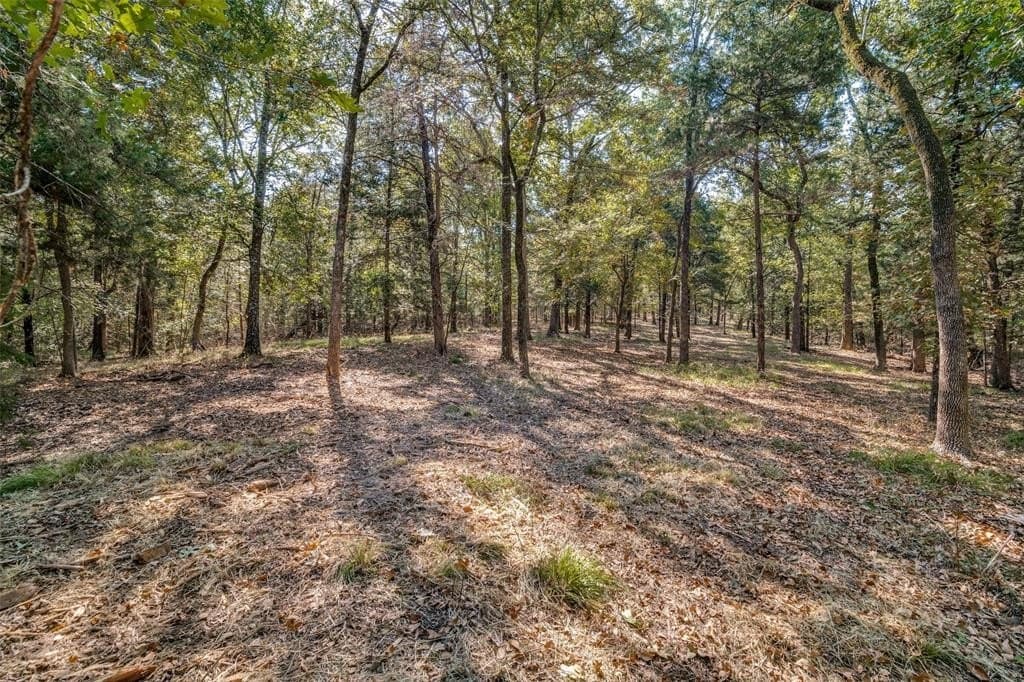 4.95 acres in Navarro County - photo 6