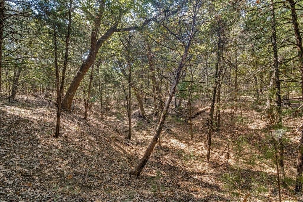 4.95 acres in Navarro County - photo 8