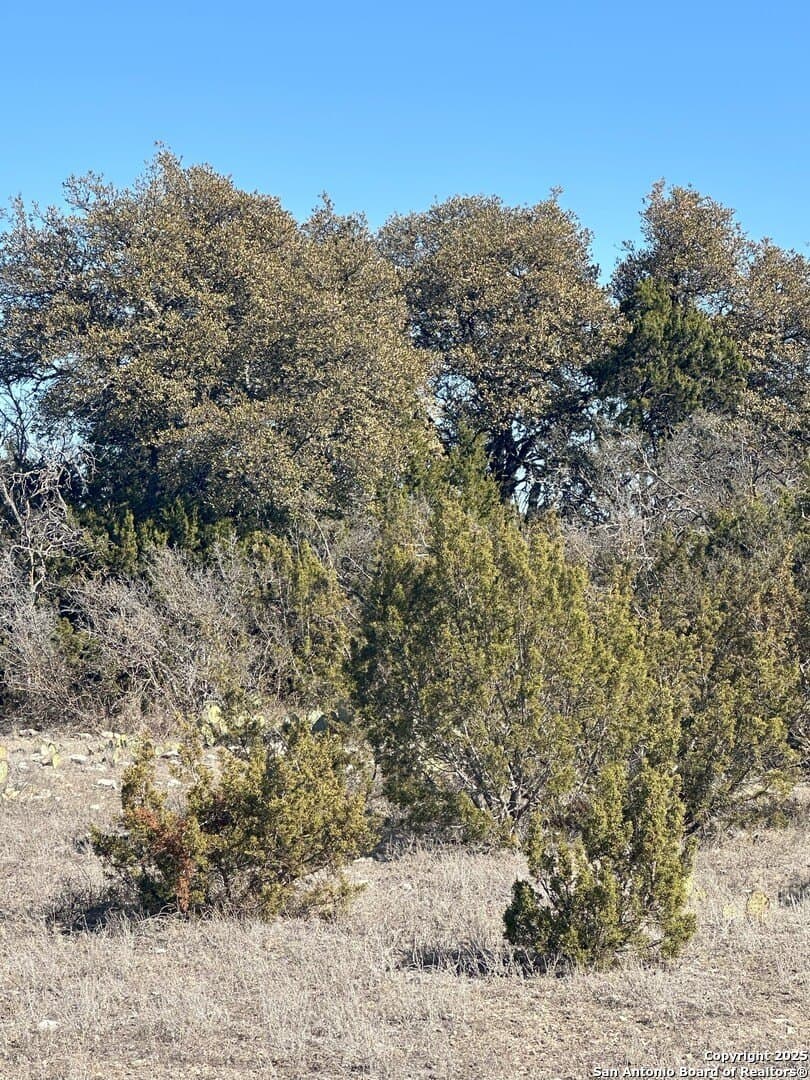 33.84 acres in Edwards County - photo 19